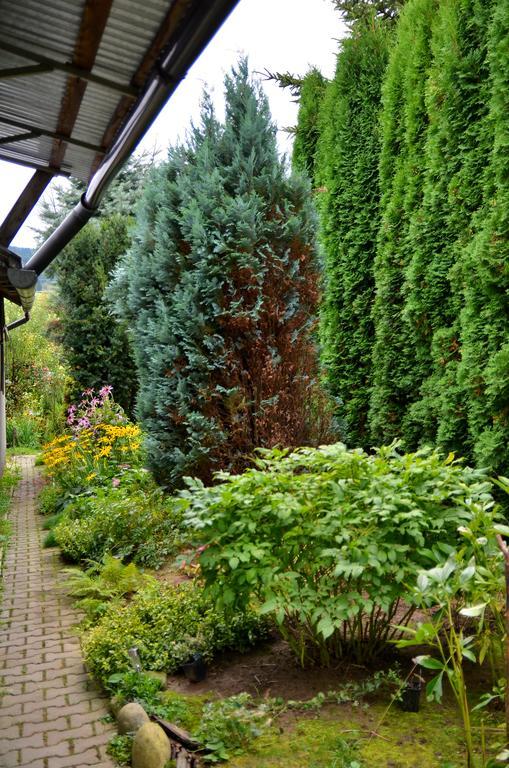 Apartament Karina Tylicz Exteriör bild